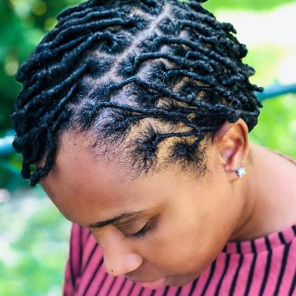 Starter Locs
